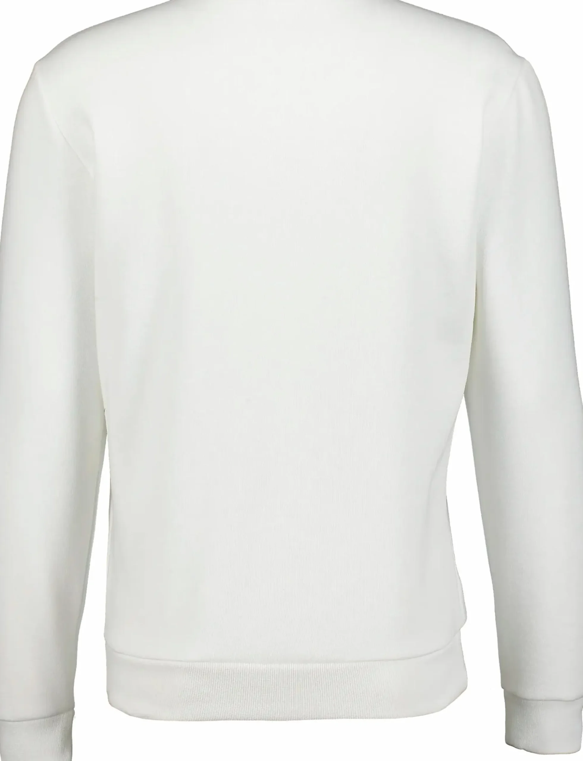 CHAMPION crewneck sweatshirt m- Genser·Collegegensere
